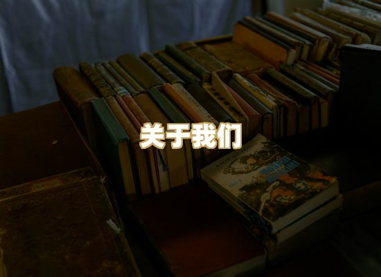 关于我们